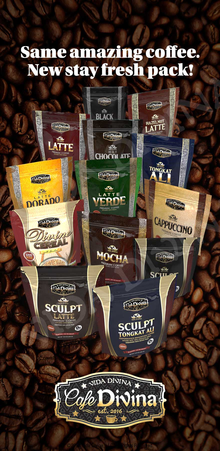 Inicio - Vida Divina